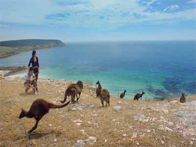 Hotels in Kangaroo Island Beach Australia