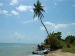 Hotels in Monkey River Town Beach Belize
