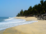 Alleppey Beach Side Hotels Kerala