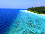 Fihalhohi Island Beach Side Hotels Maldives