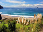 Hot Water Beach Side Hotels New Zealand