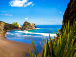 Piha Beach Side Hotels New Zealand