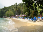 Paradise Beach Side Hotels Phuket