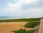 Thiruvanmiyur Beach Side Hotels Tamil Nadu