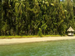 Stewart Island Beach Andaman and Nicobar Islands