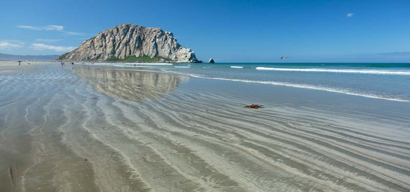 Morro Rock Beach in California