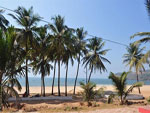 Baina Beach Goa