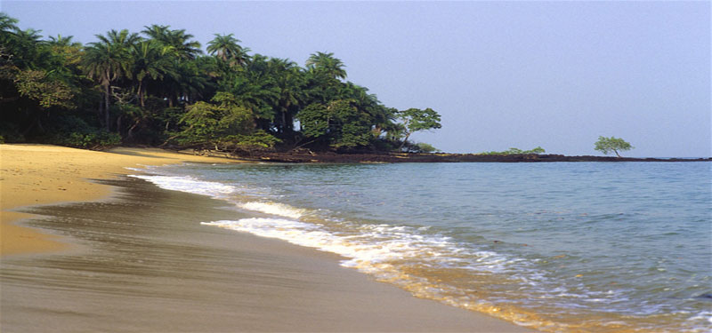 Melo Island Beach Guinea Bissau