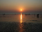 Dandi Beach Gujarat