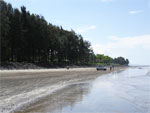 Varsoli beach Alibag