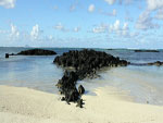 Roche Noire Beach Mauritius