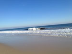 Sandy Hook Beach New Jersey