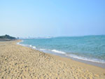 Sokcho Beach South Korea