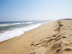 Elliot's Beach Tamil Nadu